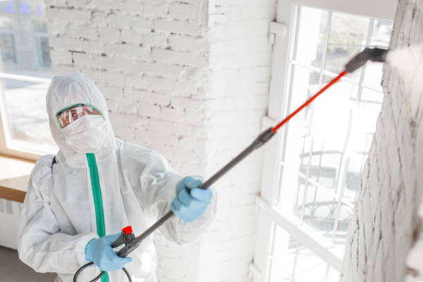 Best Environmental Consulting for Mold Prevention  in Presidential Lakes Estates, NJ