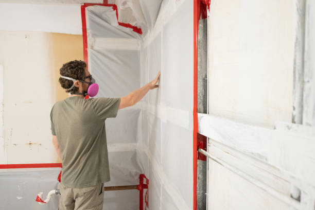 Best Mold Damage Restoration  in Presidential Lakes Estates, NJ