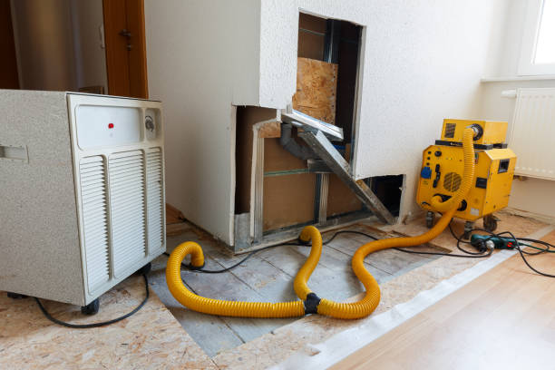 Professional Mold Removal in Presidential Lakes Estates, NJ