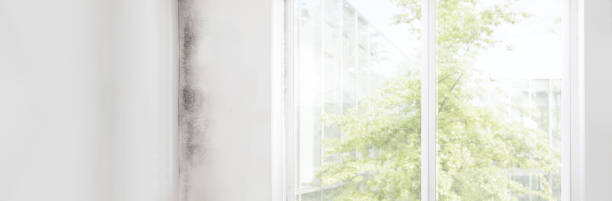 Best Mold Prevention Services  in Presidential Lakes Estates, NJ