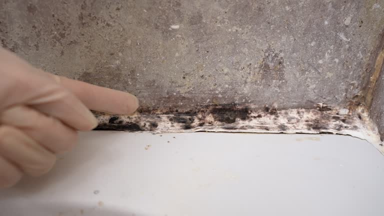 Forensic Mold Investigation in Presidential Lakes Estates, NJ